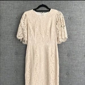 Brand New Rachel Parcel dress size SMALL